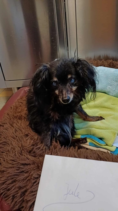 582429458_1265514022289620_5317602411992682112_n